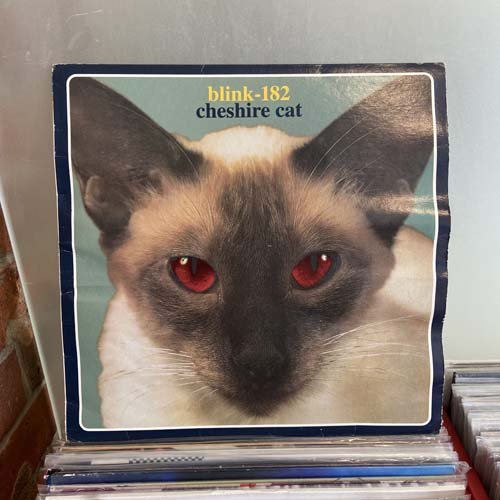 Blink-182 - Cheshire Cat — Shortstack Records Toronto - Selling 